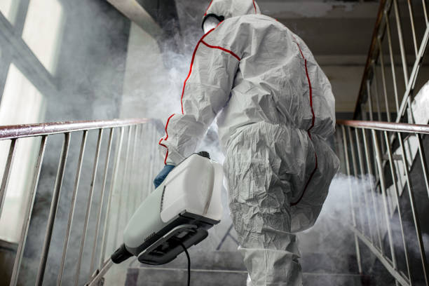 Mold Odor Removal Services in Burns Flat, OK